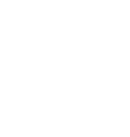 Large favicon