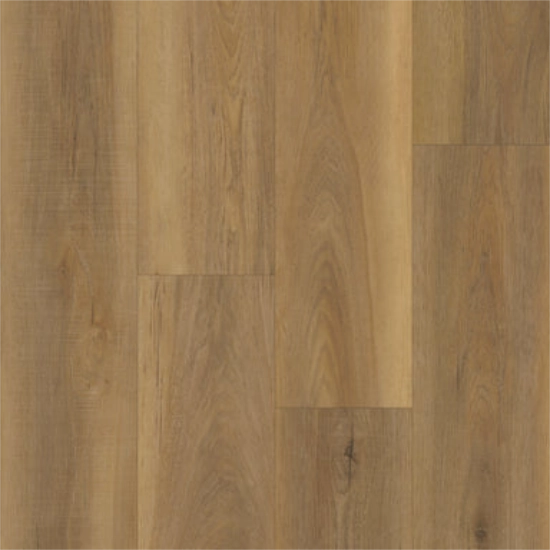 Boardwalk in American Hickory