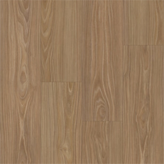 TRUCOR eNeRGy - Sail Oak